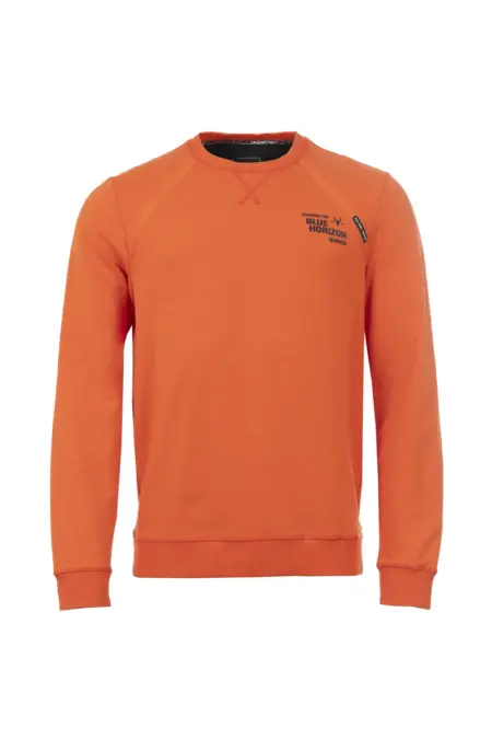 Sweatshirt, 1/1 Arm, Rundhals