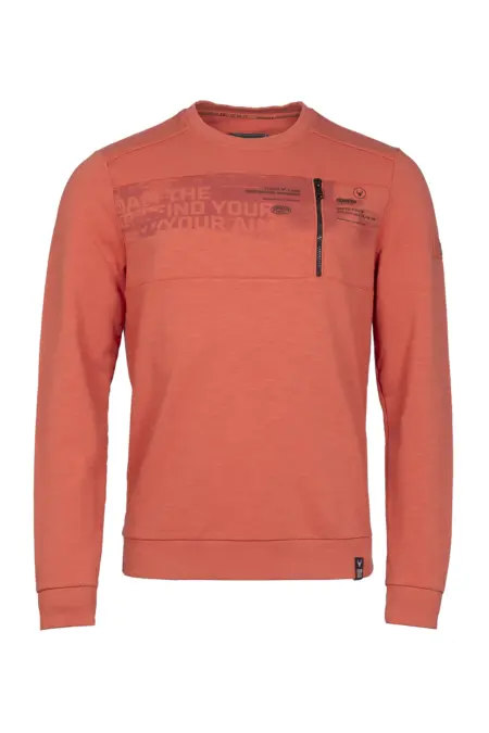Sweatshirt, 1/1 Arm, Rundhals